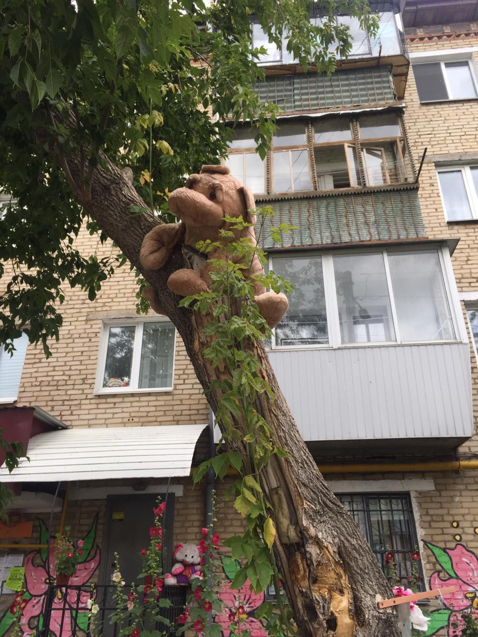 В Сатке выбрали лучший дом и лучший двор | 07.08.2019 | Сатка - БезФормата